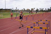 Load image into Gallery viewer, HURDLE WALKOVERS TRAINING TEMPLATE